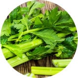 Ingredients in Levium